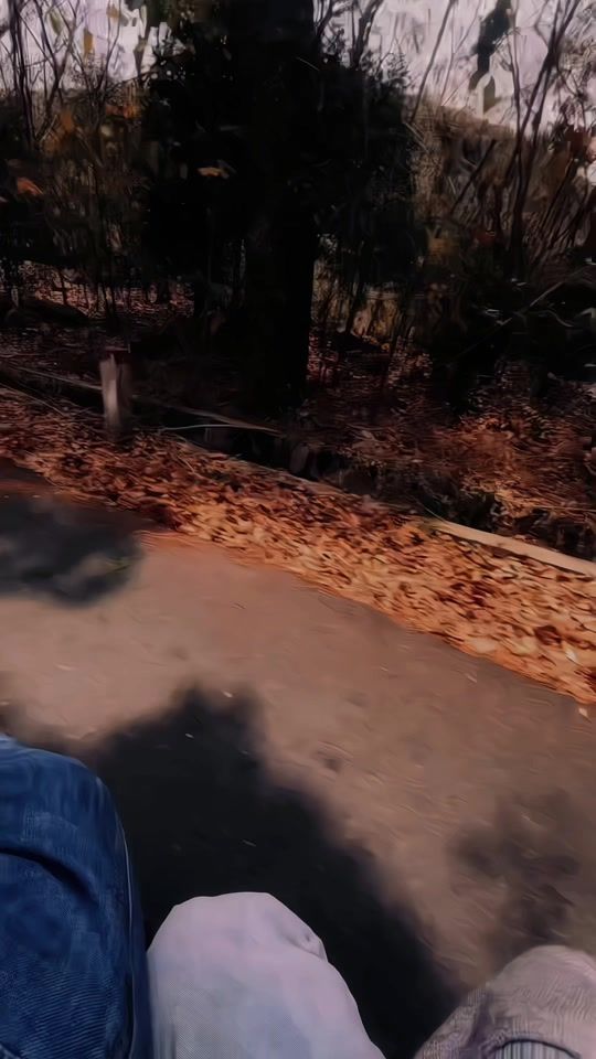 TikTok video thumbnail by whosmeens