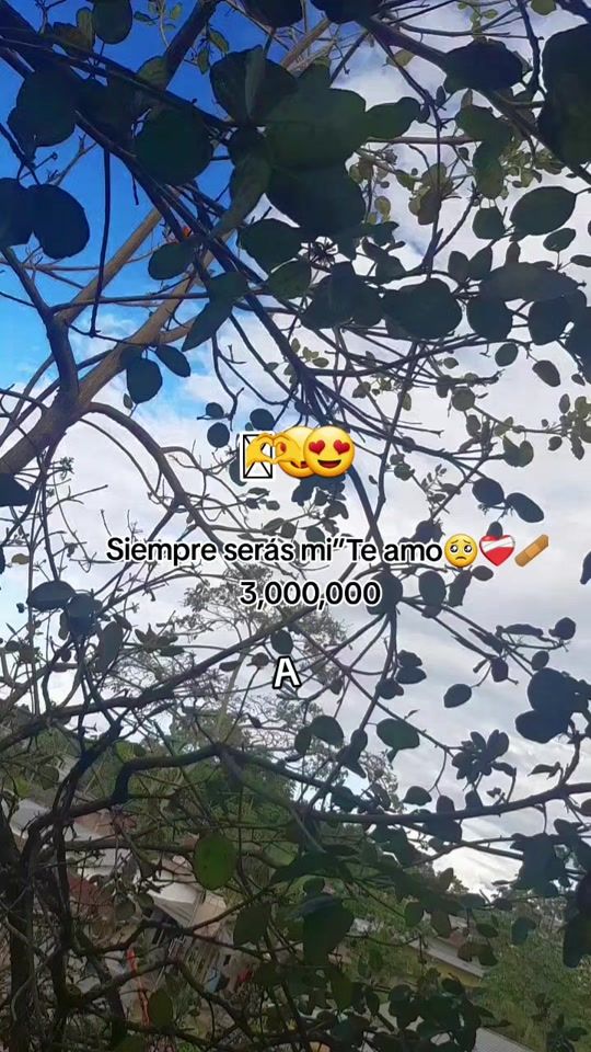 TikTok video thumbnail by snohemya2