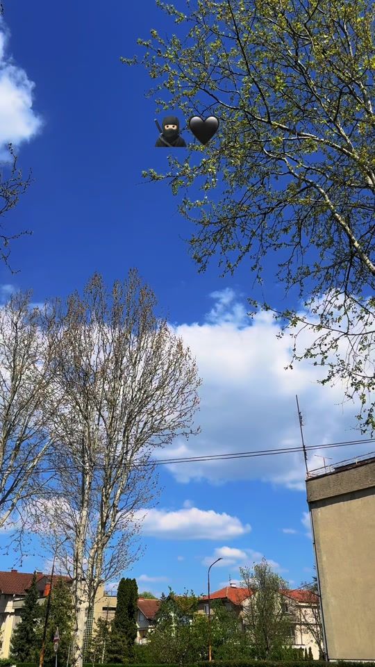 TikTok video thumbnail by sjovanovic79