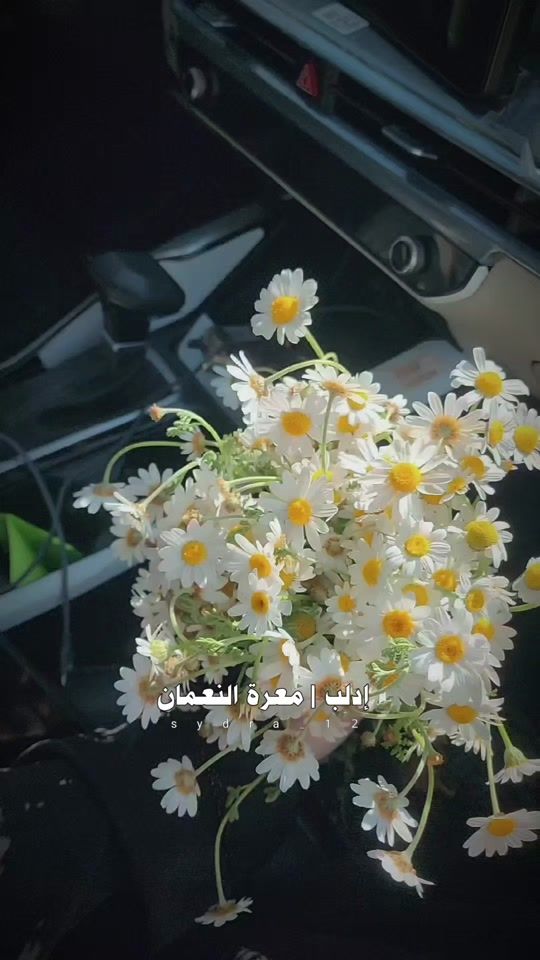 TikTok video thumbnail by sydra_12
