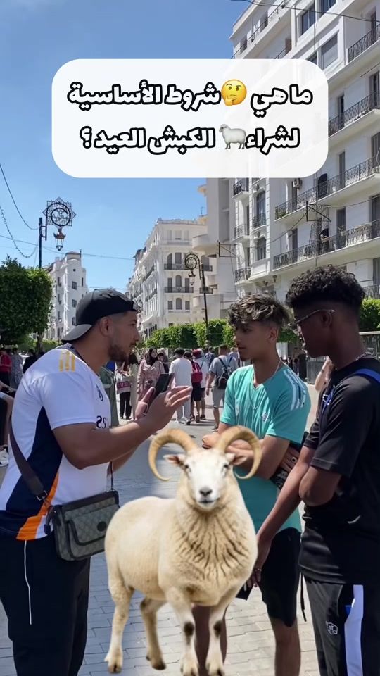 TikTok video thumbnail by bms.16