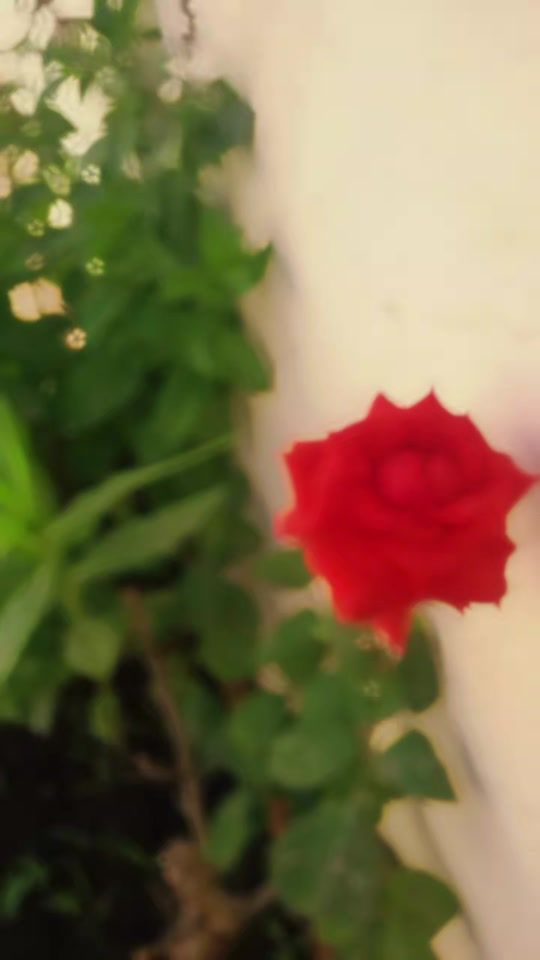 TikTok video thumbnail by user2057196200975