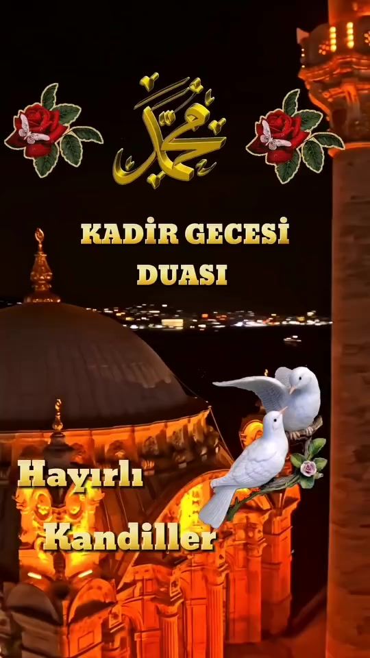 TikTok video thumbnail by habibe0666