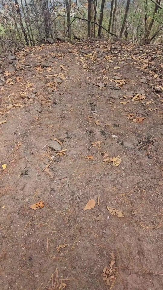 TikTok video thumbnail by masdemarcelapodcast