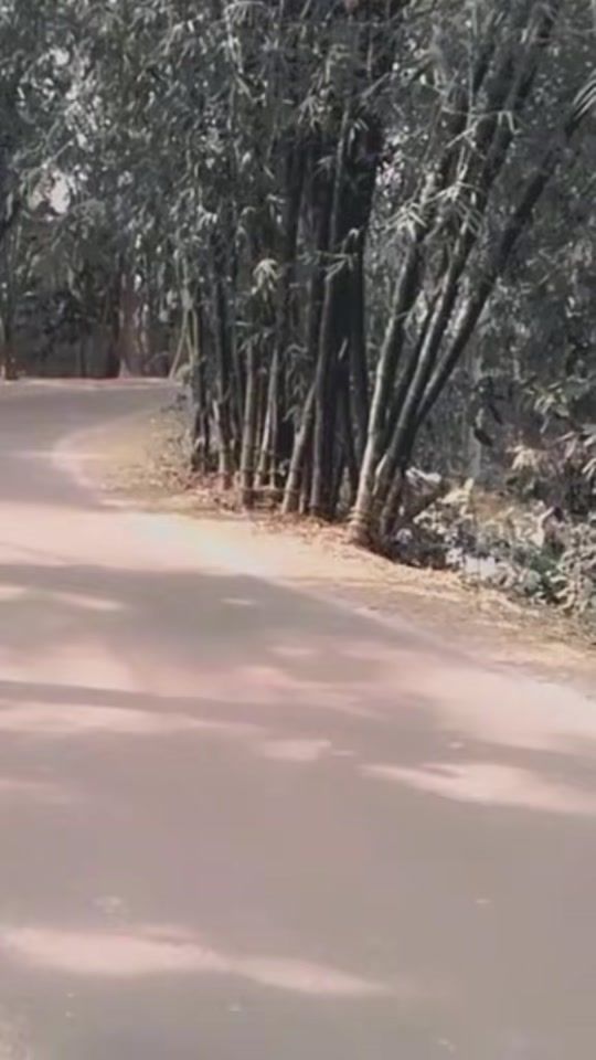 TikTok video thumbnail by sohamoni540