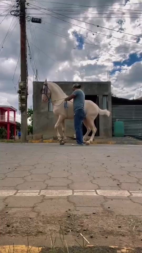 TikTok video thumbnail by el_matagigante