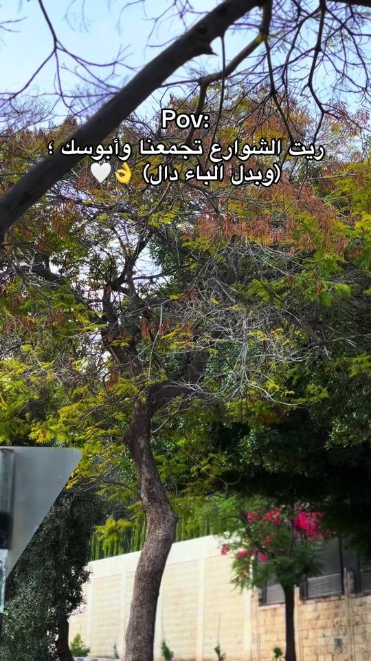 TikTok video thumbnail by iimkk77