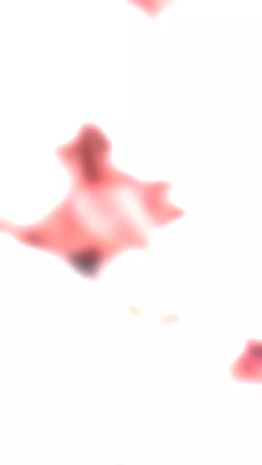 TikTok video thumbnail by challah_og