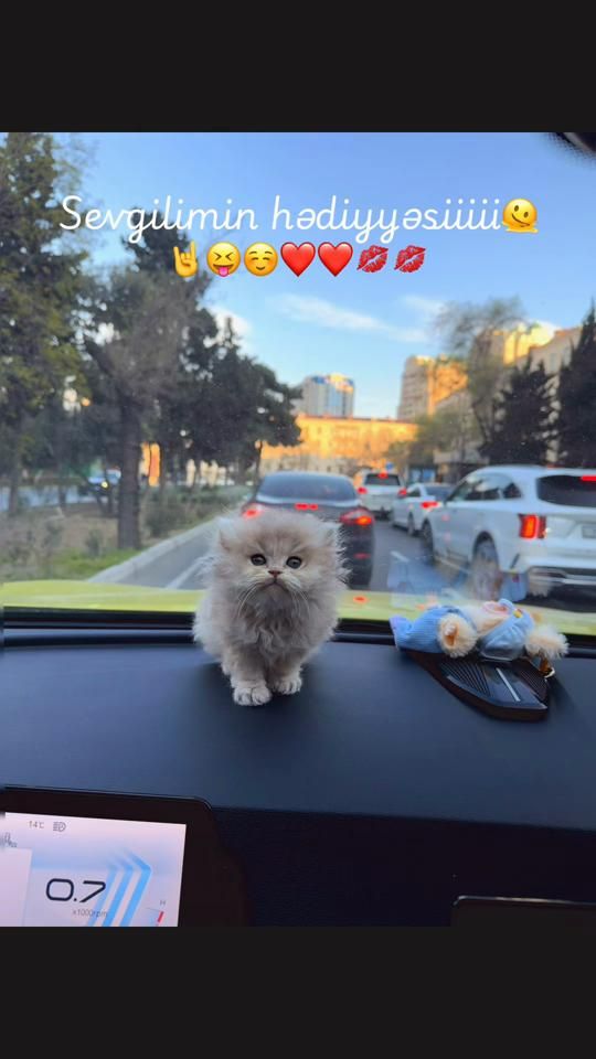 TikTok video thumbnail by jj__328