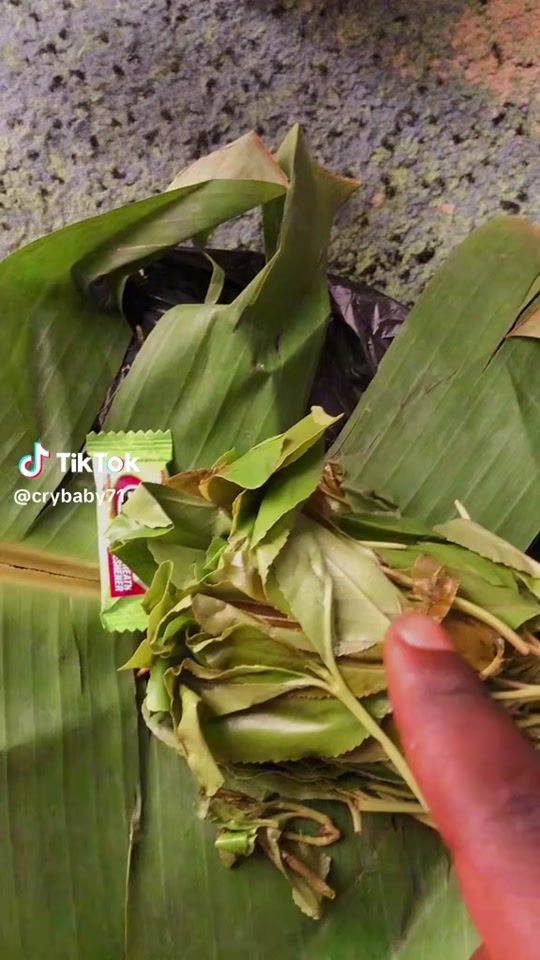 TikTok video thumbnail by peaceofficial8