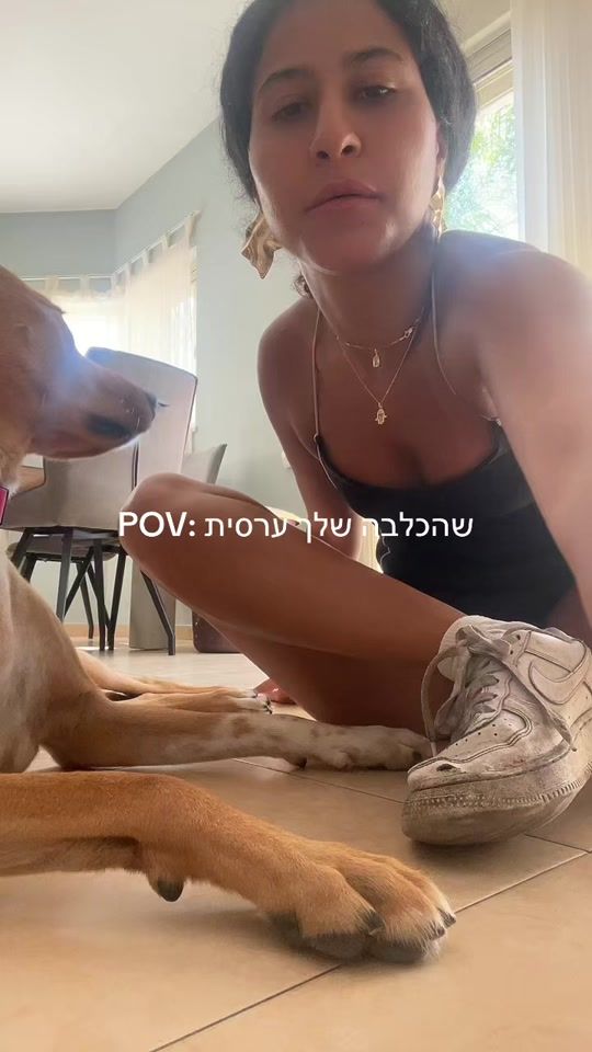 TikTok video thumbnail by gal.madmoni