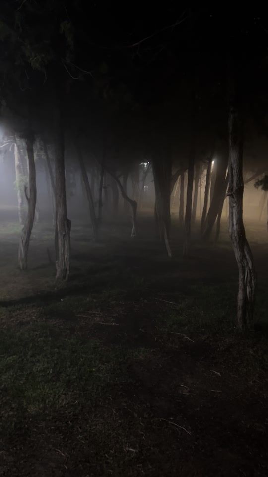 TikTok video thumbnail by qp.ut