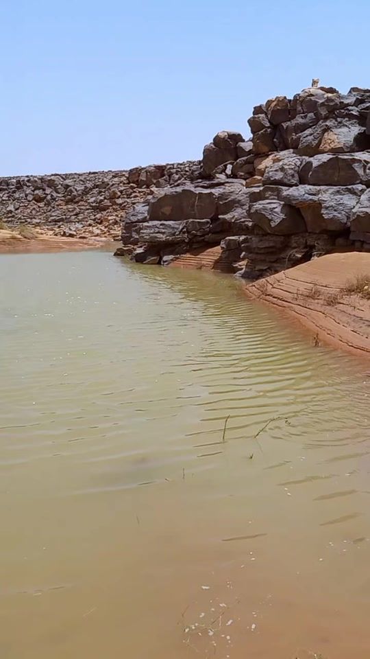 TikTok video thumbnail by user29541530847424