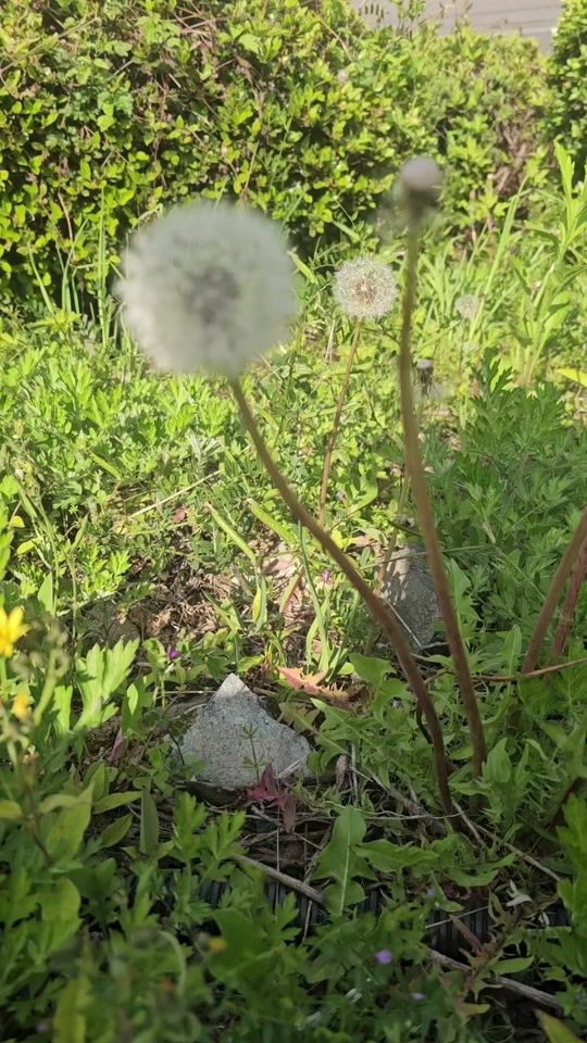 TikTok video thumbnail by sinpo1210