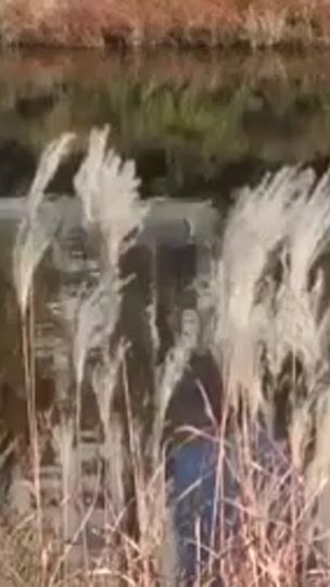 TikTok video thumbnail by yoonjaebok.ltd