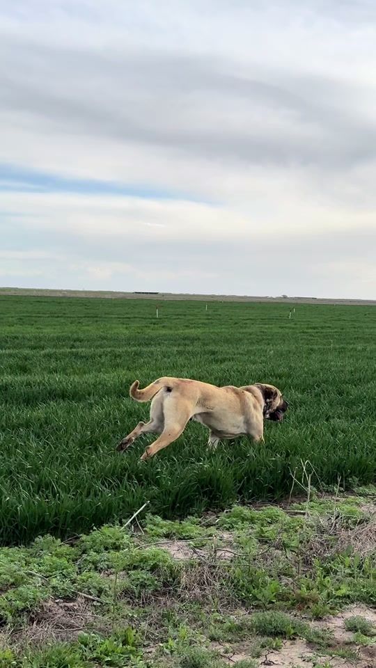 TikTok video thumbnail by ramazanunlu23