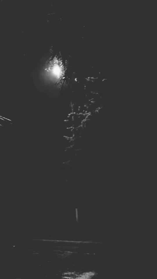 TikTok video thumbnail by .99982122
