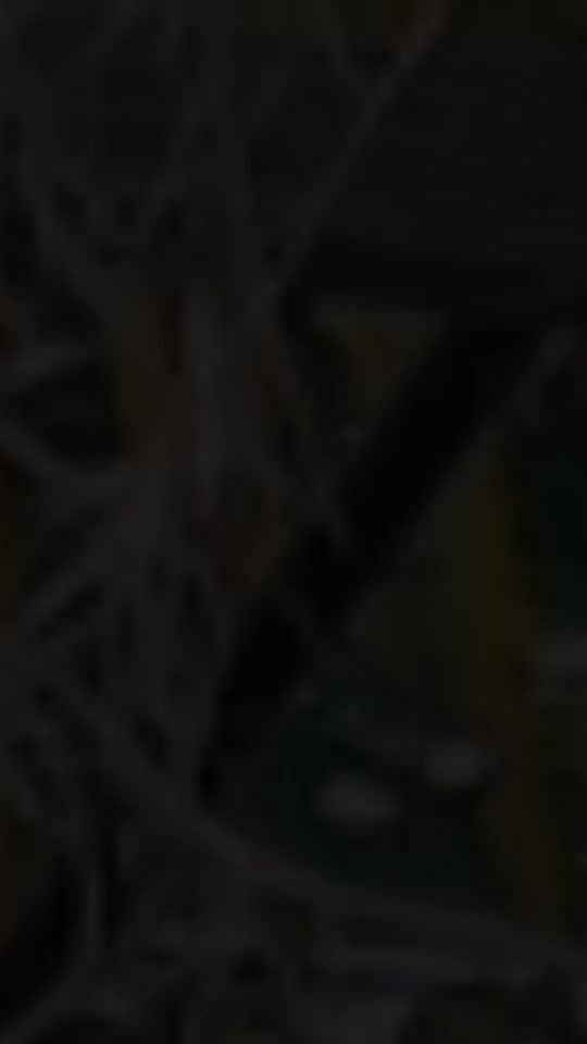 TikTok video thumbnail by maafiiraa