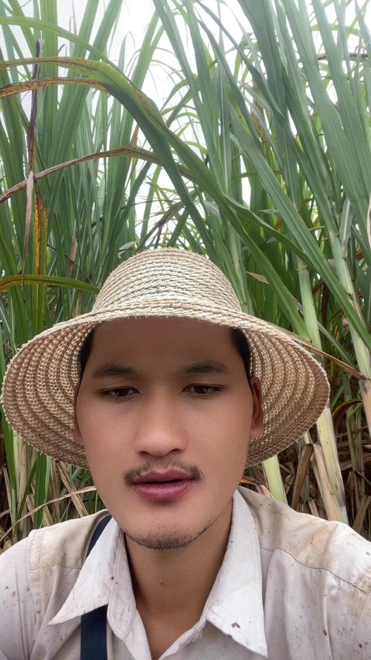 TikTok video thumbnail by vilaykoun