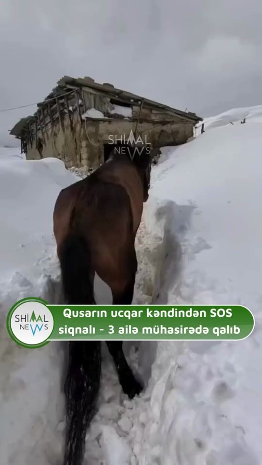 TikTok video thumbnail by kusarionline
