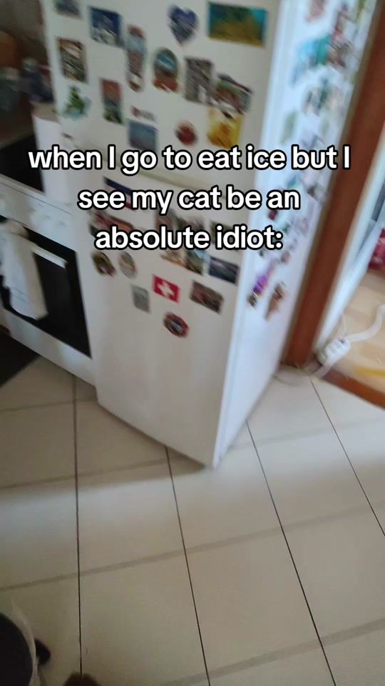 TikTok video thumbnail by themfnamedsunny