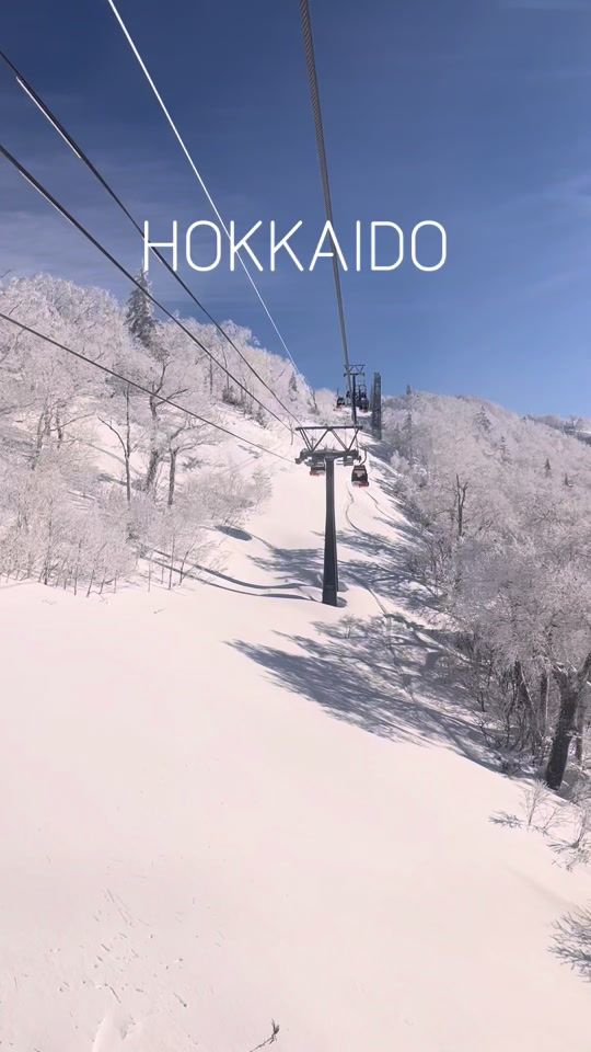 TikTok video thumbnail by panan_mong