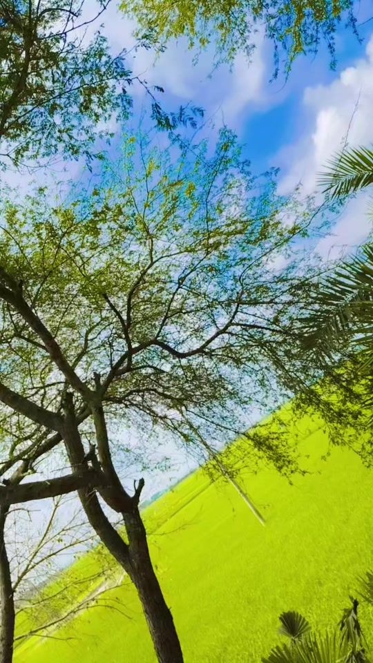 TikTok video thumbnail by mdtuhinislam2005