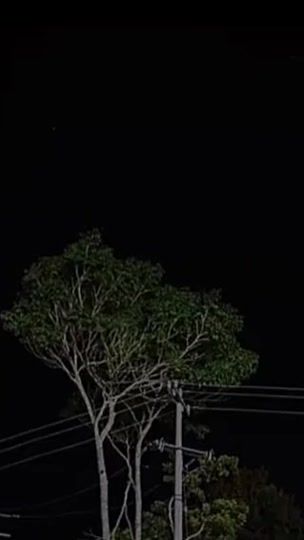 TikTok video thumbnail by mari._.ff0