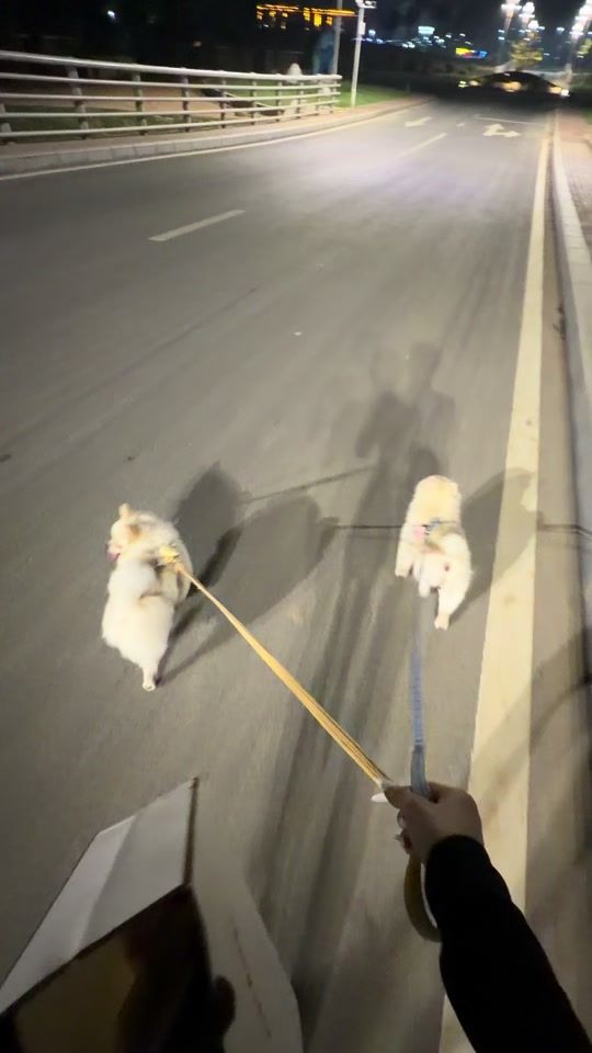 TikTok video thumbnail by phadsone_23