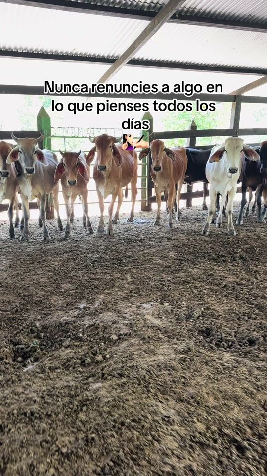 TikTok video thumbnail by neygo01