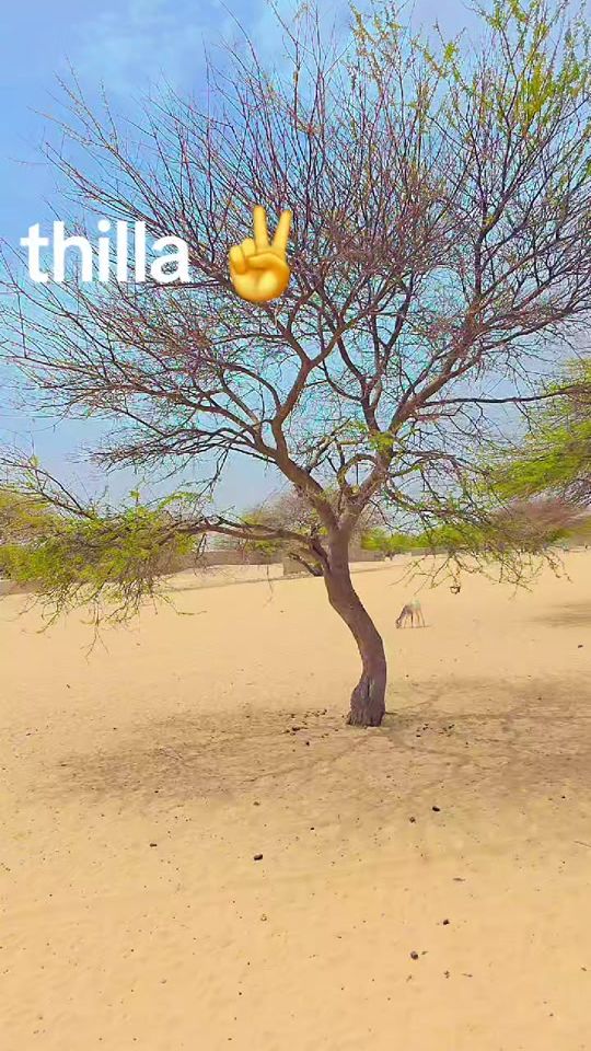 TikTok video thumbnail by mhtabakar207