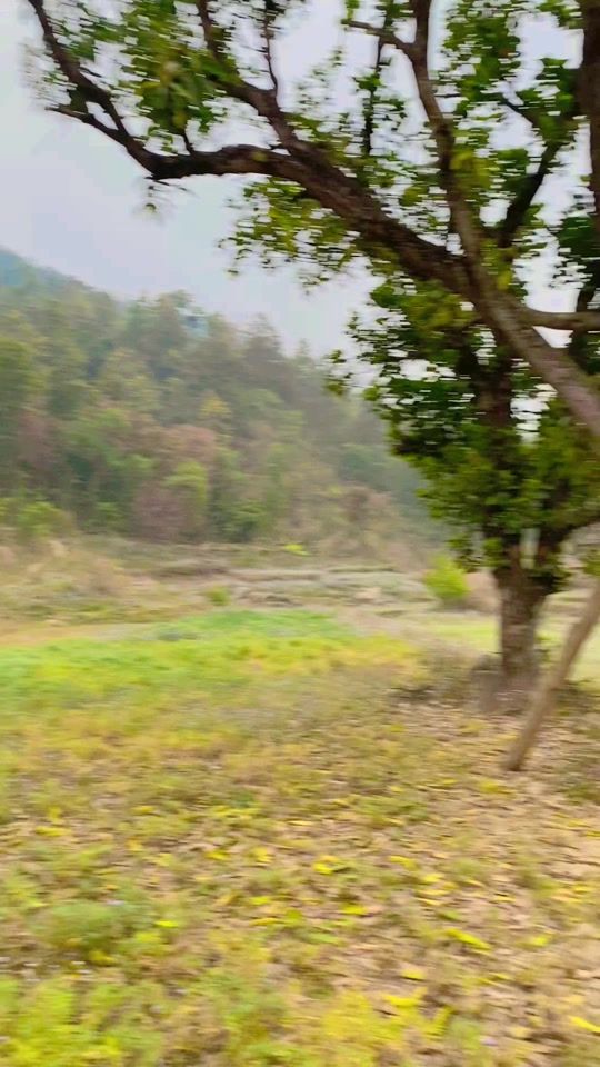 TikTok video thumbnail by anilchhetrii
