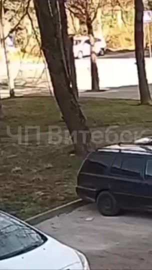 TikTok video thumbnail by typical_vitebsk