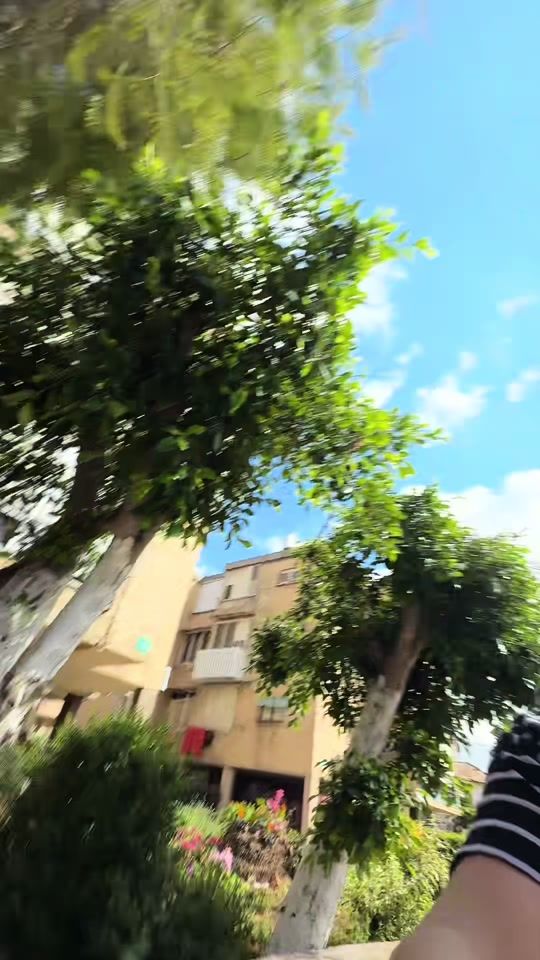 TikTok video thumbnail by yael_dahann