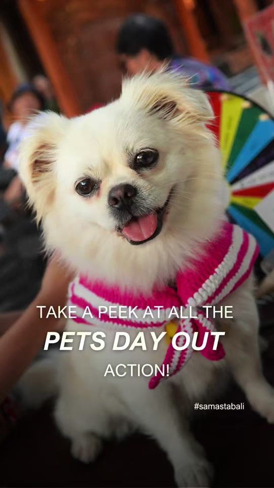 TikTok video thumbnail by samastabali