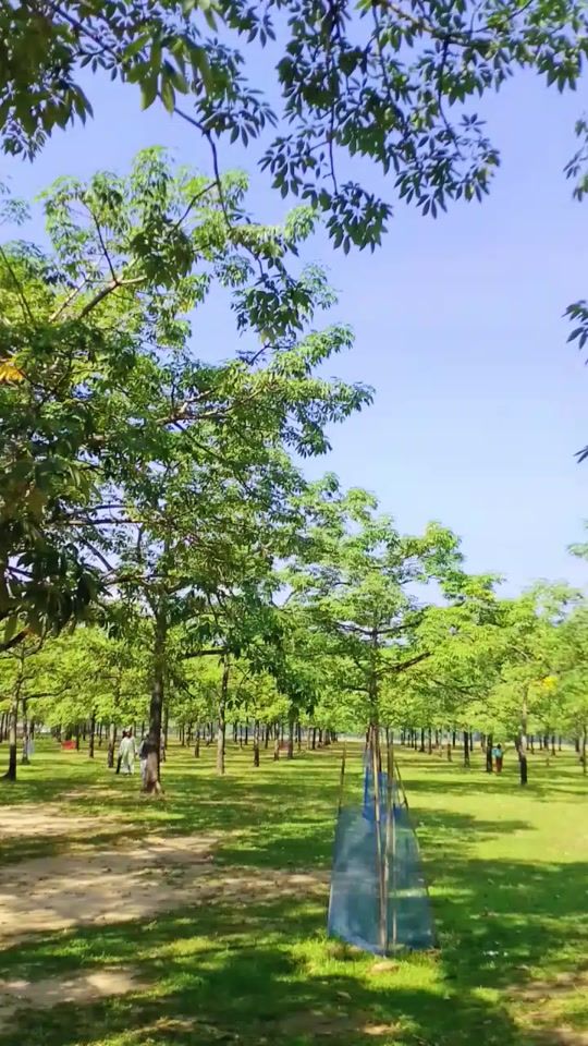 TikTok video thumbnail by shimulbagan_big