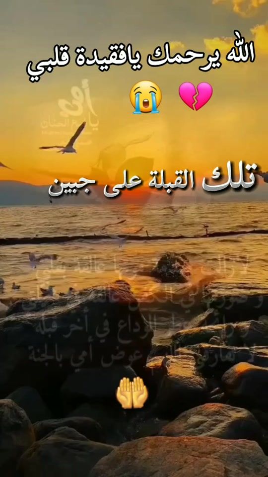 TikTok video thumbnail by user7485424324489
