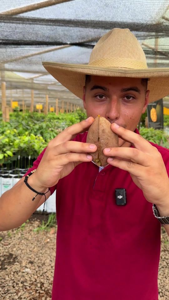 TikTok video thumbnail by viverogerminar