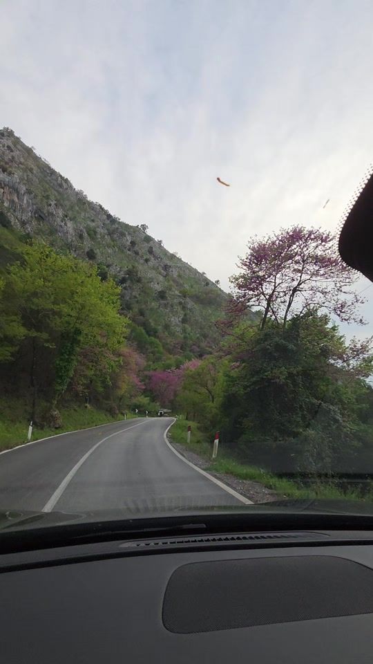 TikTok video thumbnail by arkle_apartament