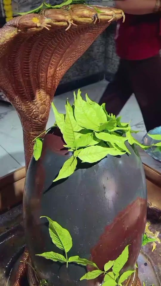 TikTok video thumbnail by dn_dipa
