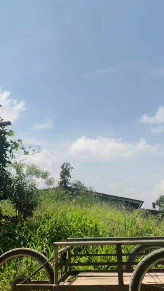 TikTok video thumbnail by toom555lk