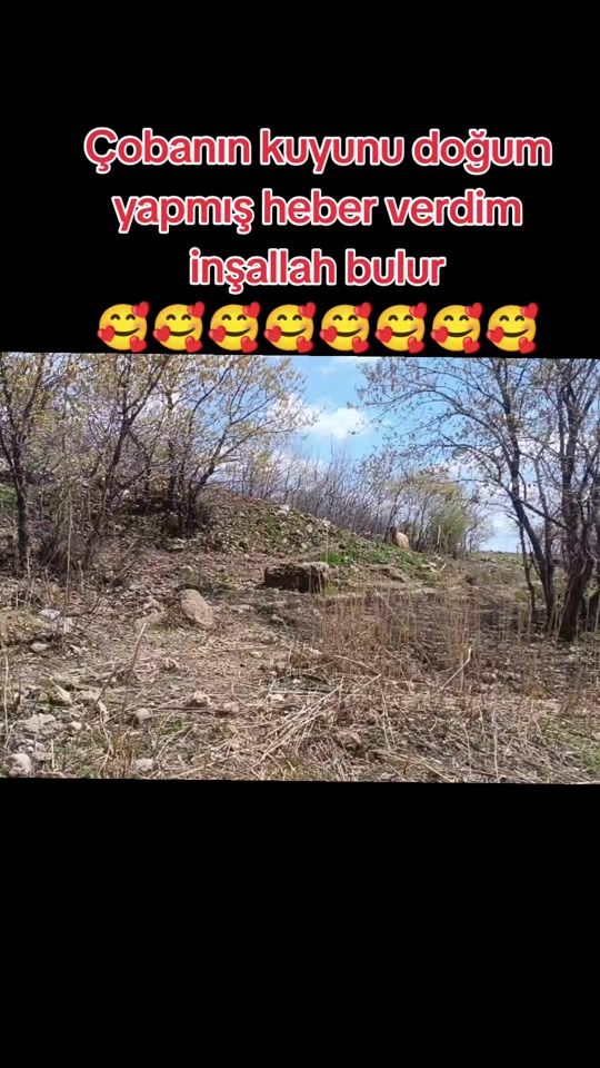 TikTok video thumbnail by abdullah.yagan.73