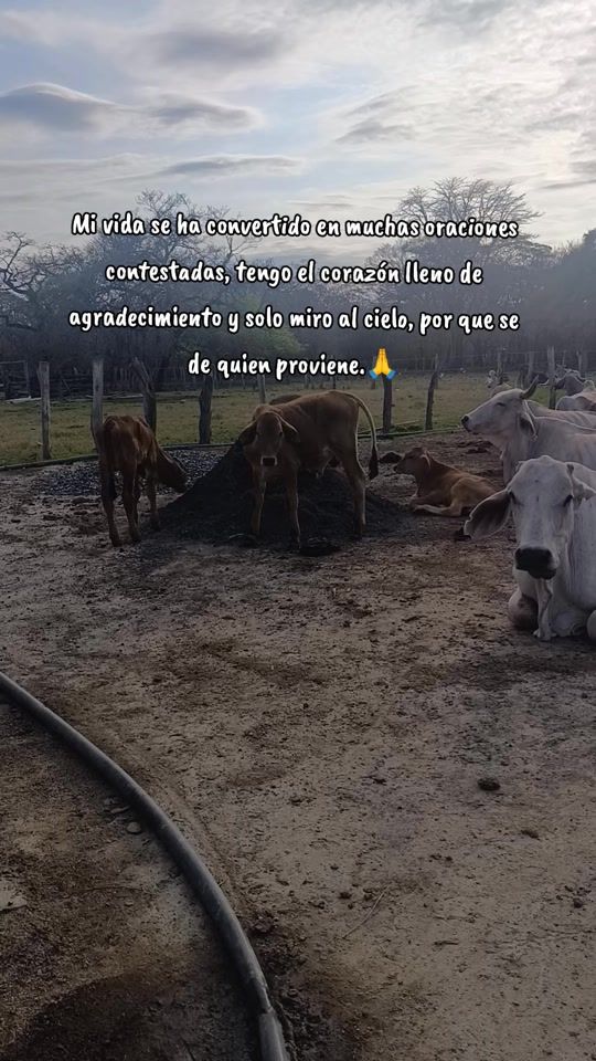 TikTok video thumbnail by gabrielacruces31
