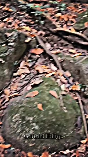 TikTok video thumbnail by gabriel.editor17