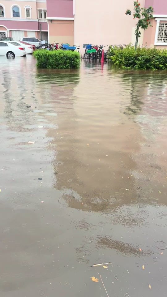 TikTok video thumbnail by mohiuddin2022