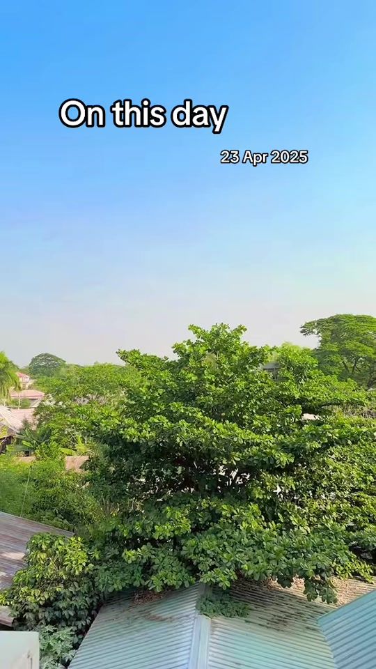 TikTok video thumbnail by nnnmart3