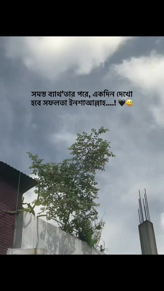 TikTok video thumbnail by note.line_0