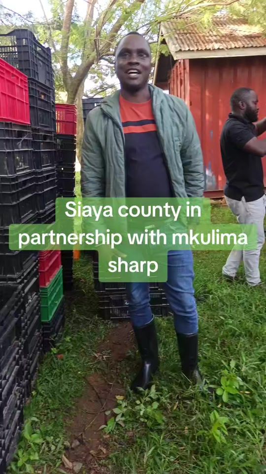 TikTok video thumbnail by mkulimasharp_kenya