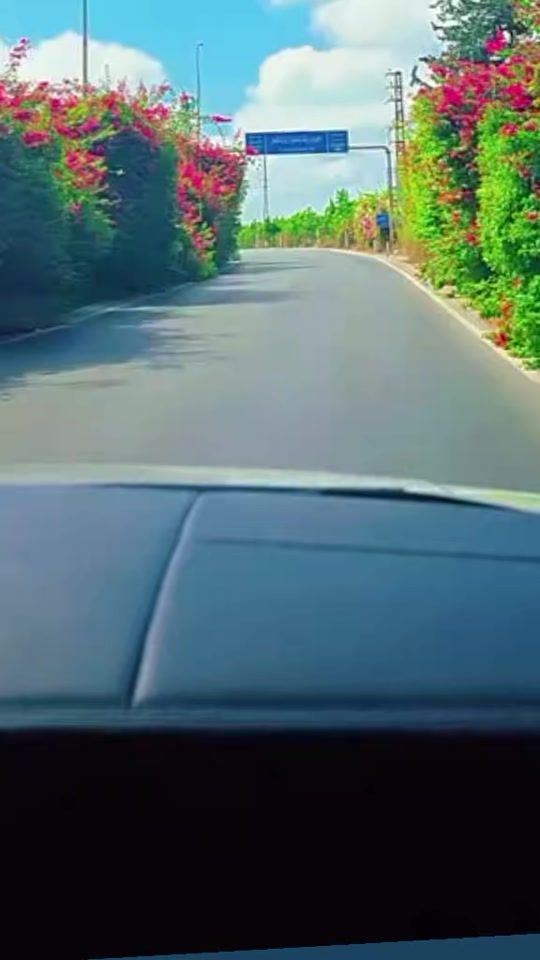TikTok video thumbnail by shitaye1265