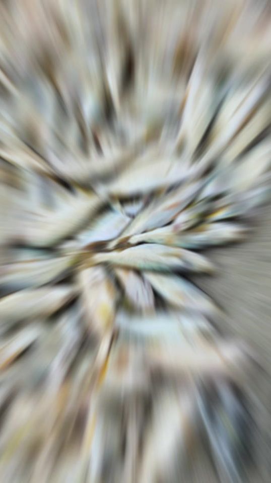 TikTok video thumbnail by barang_kail